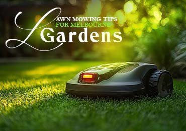 Mowing Blog