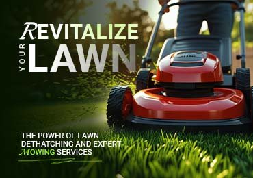 Mowing Blog